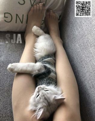 痴汉电车动画_BD国语高清在线观看
