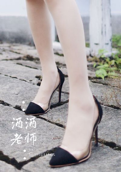芈月传 电视剧_1080HD高清在线观看